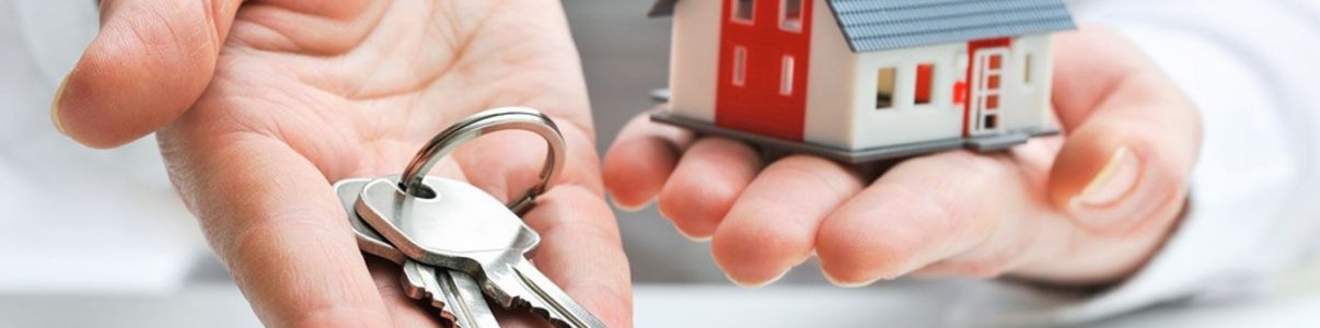 real-estate